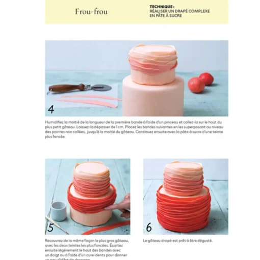 Cake design premiers pas - Sally François