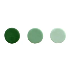 Colorant alimentaire naturel vert sapin PME