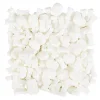 Décors comestibles crânes blancs Wilton