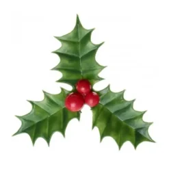 Décors Noël houx (x144)