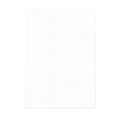 Feuilles azyme pour nougat et calissons A4 0,3 mm (x100)