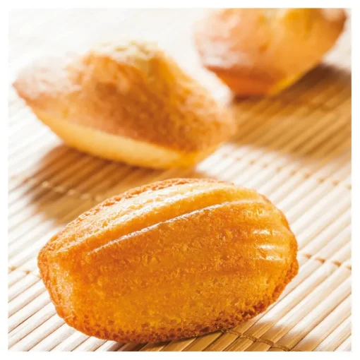 Flexipan 60x40 plaque de 40 madeleines 7,8x4,7 cm