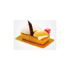 Flexipan 60x40 plaque de 100 petites quenelles 4,4x2,2x1,7  cm