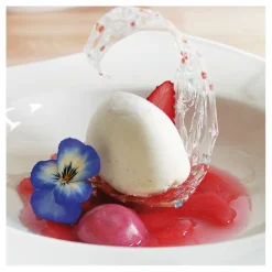 Flexipan 60x40 plaque de 42 quenelles 6x4x2,5 cm