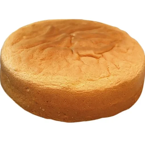 Génoise nature ronde 26 cm