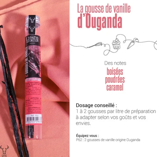 Gousse de Vanille Ouganda (x2)
