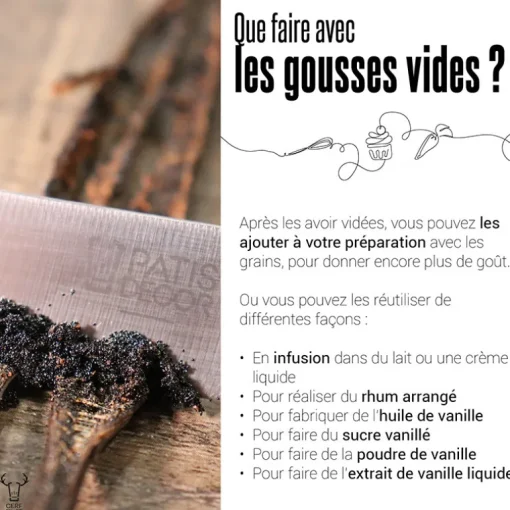 Gousse de Vanille Papouasie (x2)