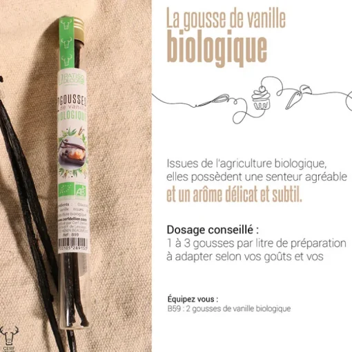 Gousses de vanille Bio (x2)