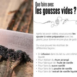 Gousses de vanille Bio (x2)