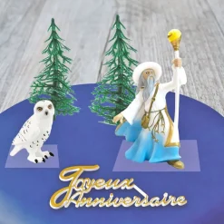 Kit décor Gâteau Sorcier