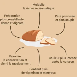 Levain de blé dur 150 g