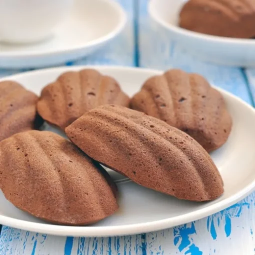 Moule 20 mini-madeleines Gobel