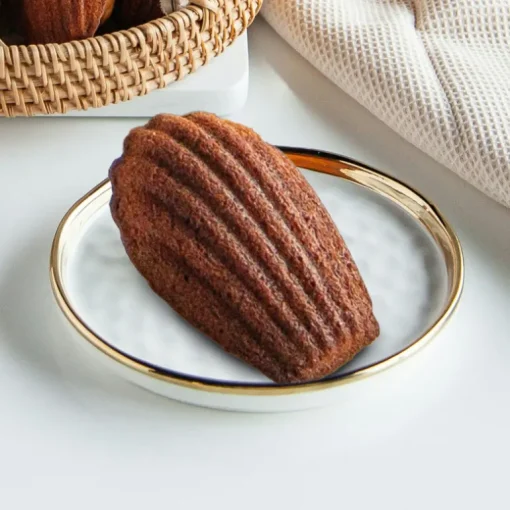 Moule madeleine XXL de voyage