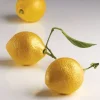 Moule silicone professionnel 3D Citrons Pavoni