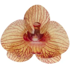 Orchidées jaunes azyme (x10)