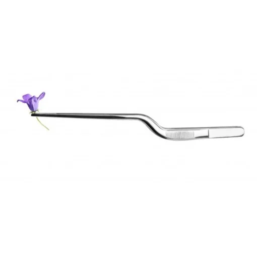 Pince à dresser courbée inox 16 cm