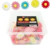 Pâquerettes assorties en azyme (x200)