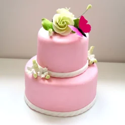 Pâte à sucre rose 1 kg - DDM 11/24