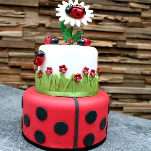 Pâte à sucre rouge 1 kg