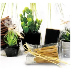 Sachets plats polypropylène - 80 x 160 mm (x100)